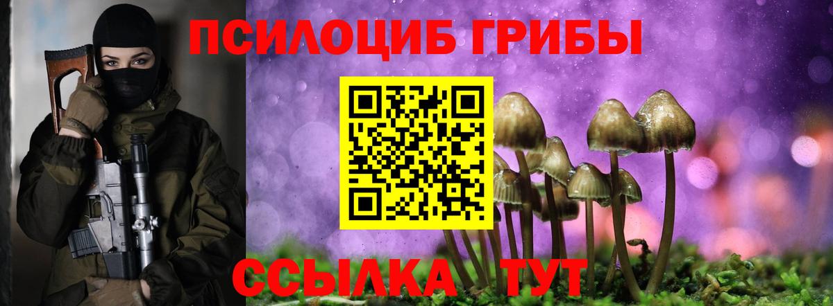 Галлюциногенные грибы Psilocybe Балахна